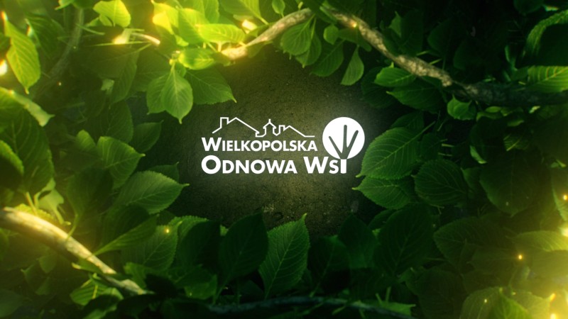 Liderzy Wielkopolskiej Odnowy Wsi - Oborniki